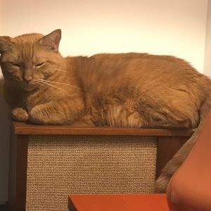 Meet your Posher, Dale